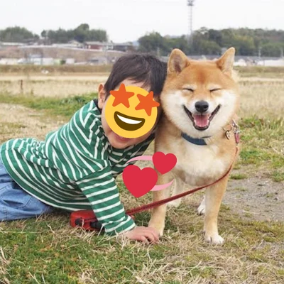 files/jLfNvKu.png